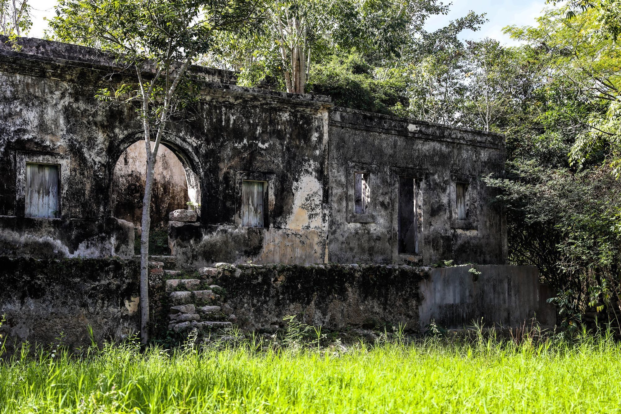 The old hacienda at Dzoyolá, in the long grass