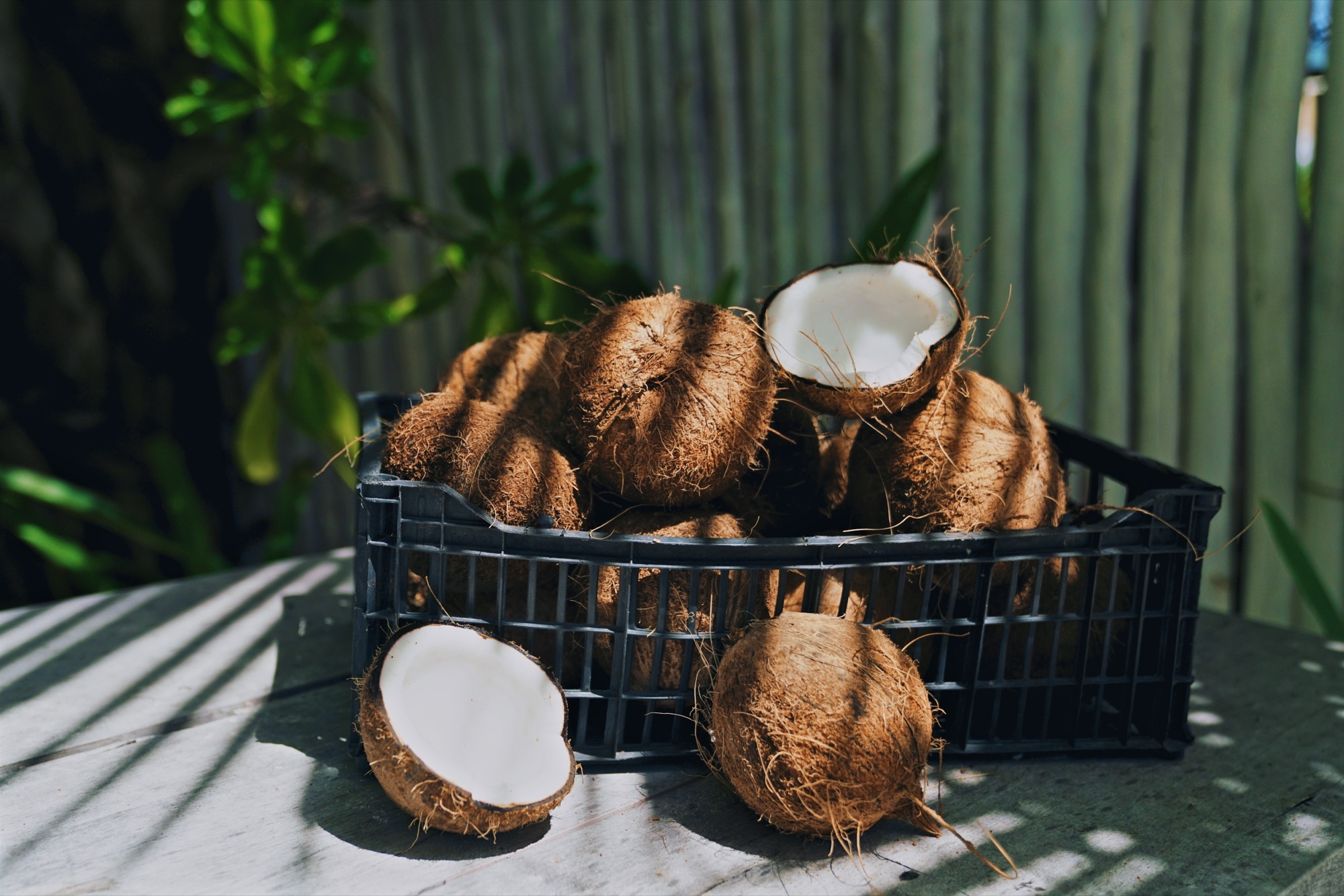 Coconuts