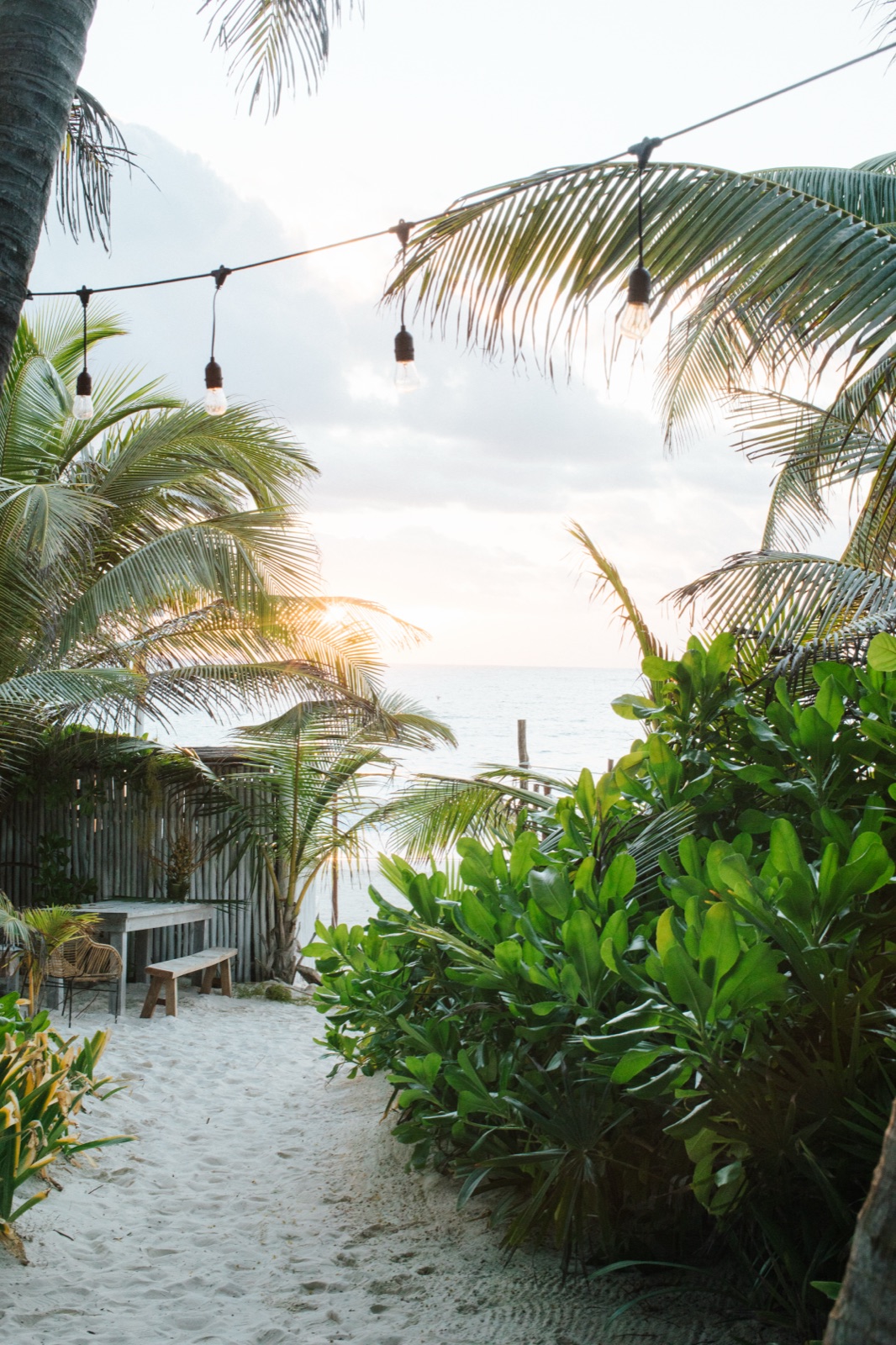 A Sanará room, the palms outside